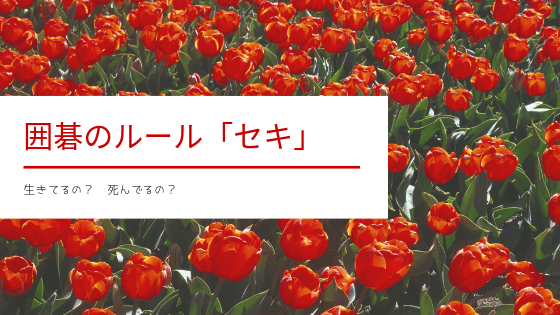 囲碁ルール セキを簡単図解 語源や漢字も紹介 Yukiの囲碁ブログ